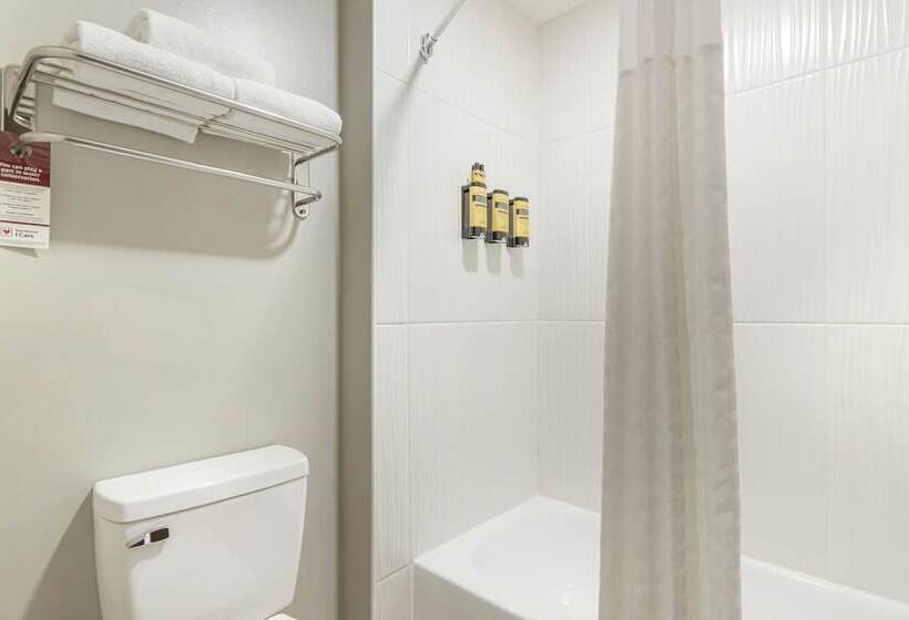 בית מלון כפרי Best Western Plus Edinburg Inn & Suites