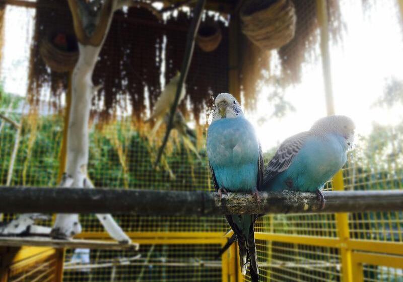 호텔 Crowne Plaza Shanghai Xiayang Lake, An Ihg