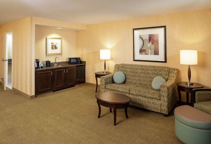 هتل Hilton Garden Inn Sioux Falls South