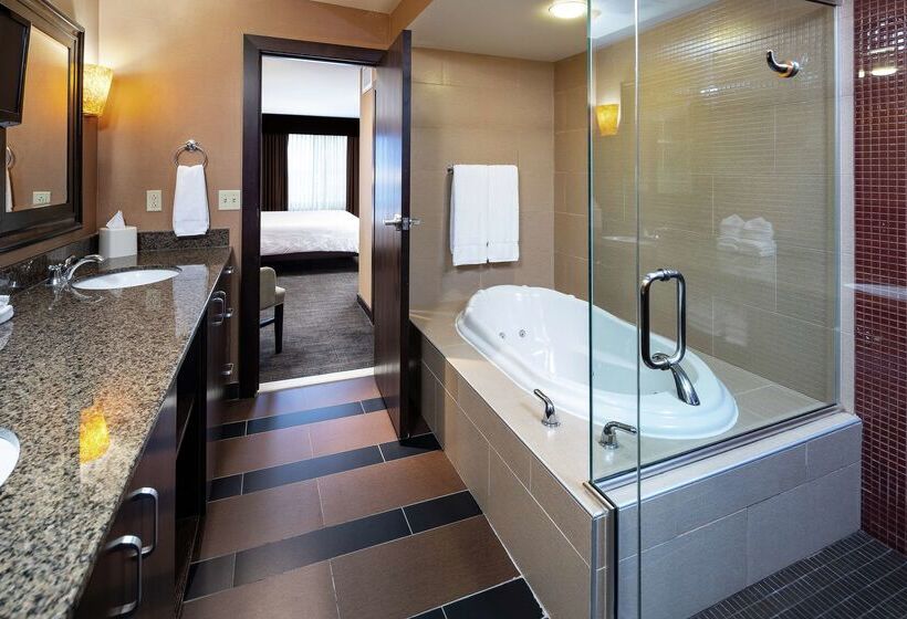 هتل Hilton Garden Inn Sioux Falls South