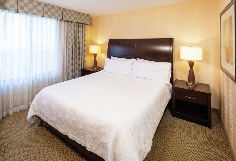 هتل Hilton Garden Inn Sioux Falls South