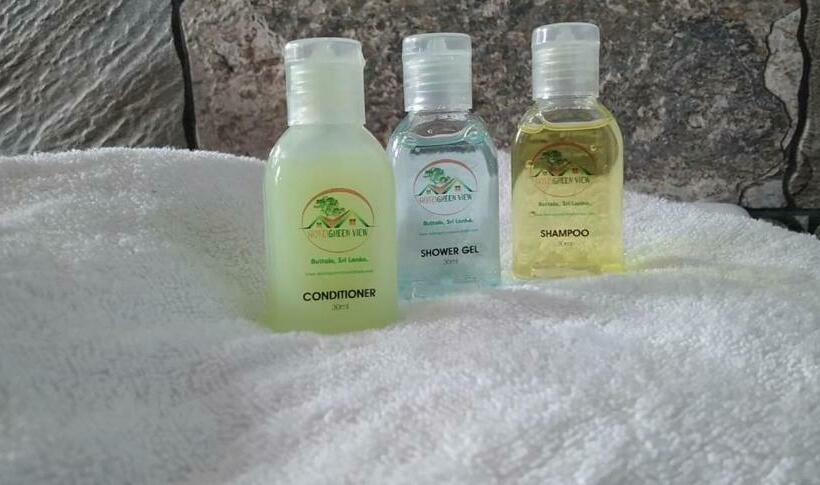 Hotel Green View Buttala