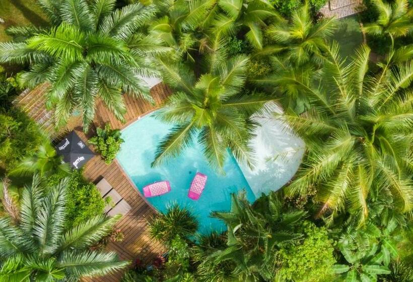 فندق Monkey Lodge Panama