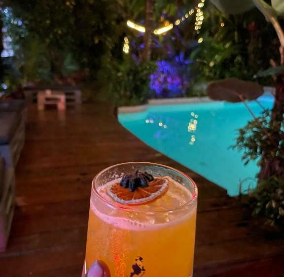 فندق Monkey Lodge Panama