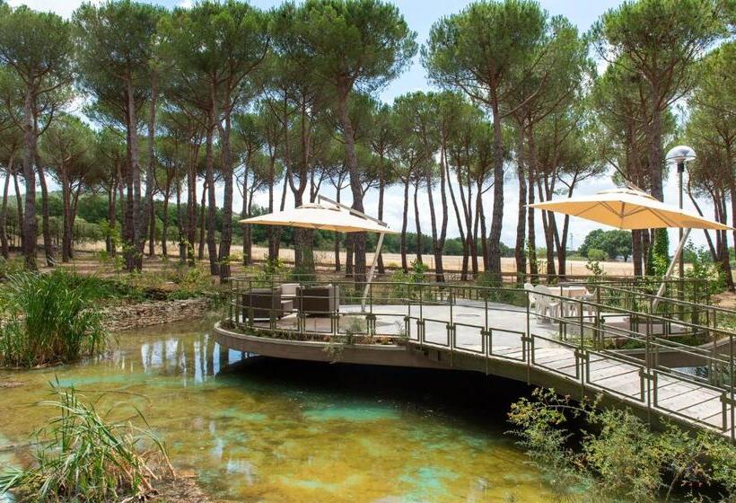 ホテル Villa Dei Pini