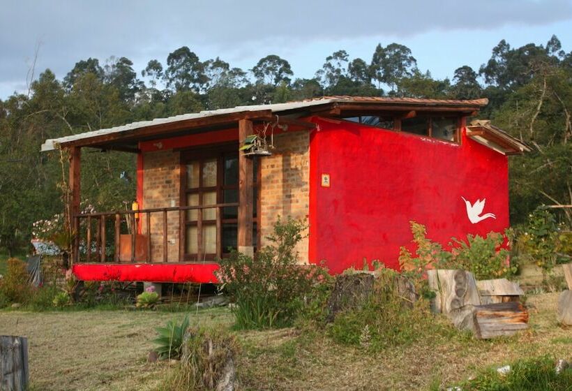 פנסיון Monte Verde Cabañas & Camping