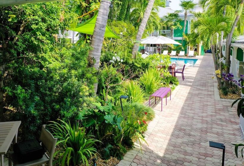 فندق Almond Tree Inn  Adults Only