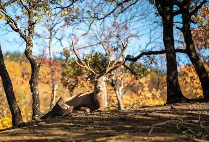 فندق Bourazani Wild Life Resort