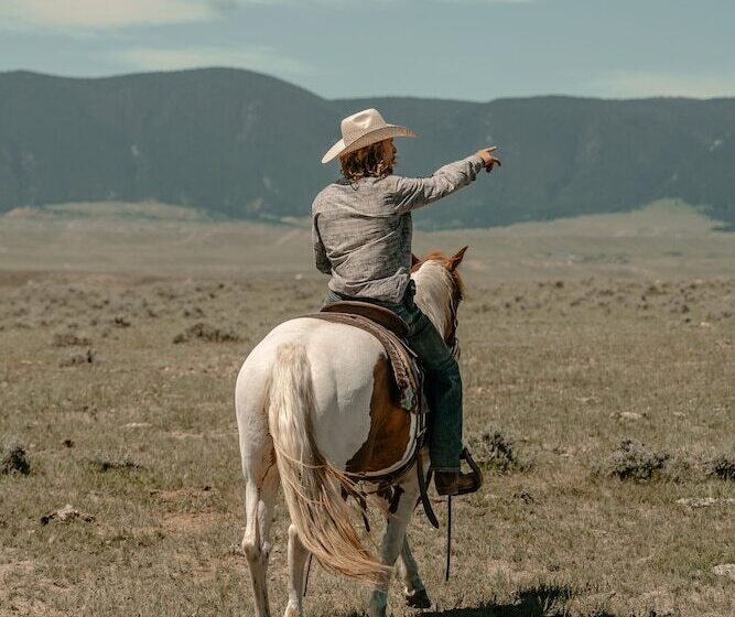 فندق Ta Ranch