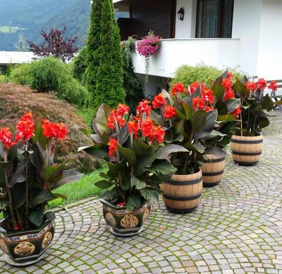 B&b Villa Pattis