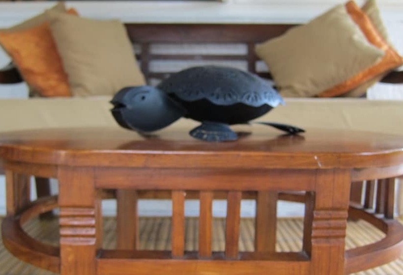 هتل Scallywags Smugglers