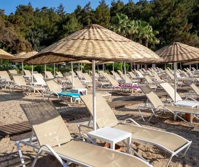 Bodrum Park Resort   All Inclusive
