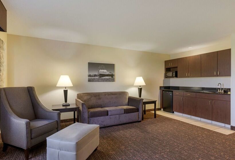 هتل Best Western Plus Omaha Airport Inn