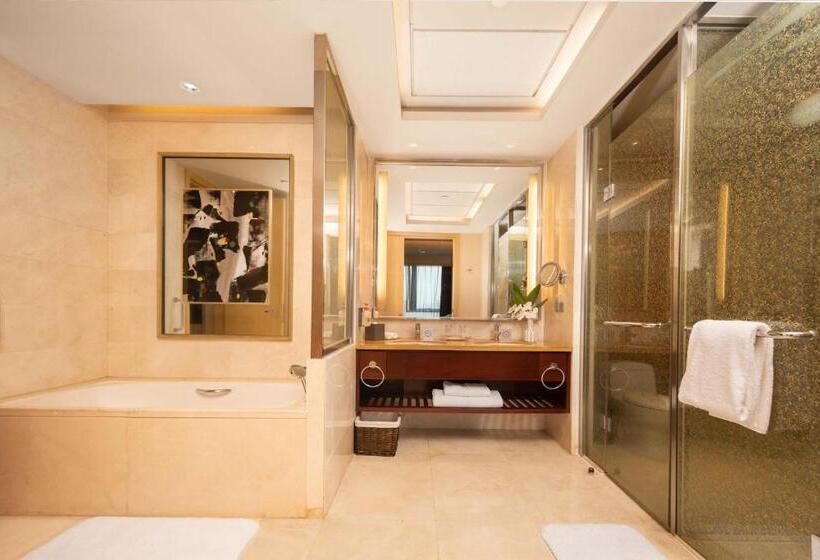 هتل Crowne Plaza Xiangyang, An Ihg