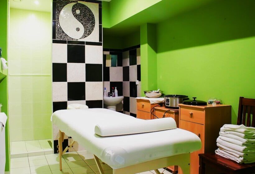 فندق Zlaty Lev Zatec