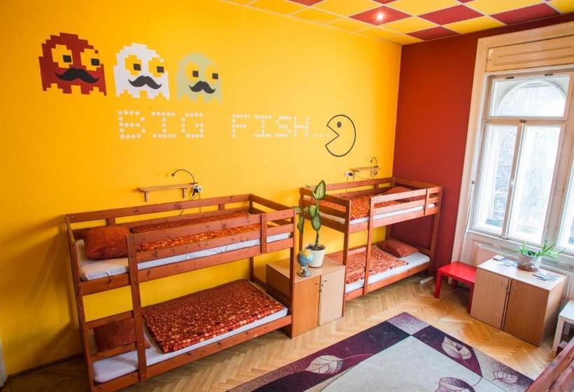مسافرخانه Big Fish Budapest