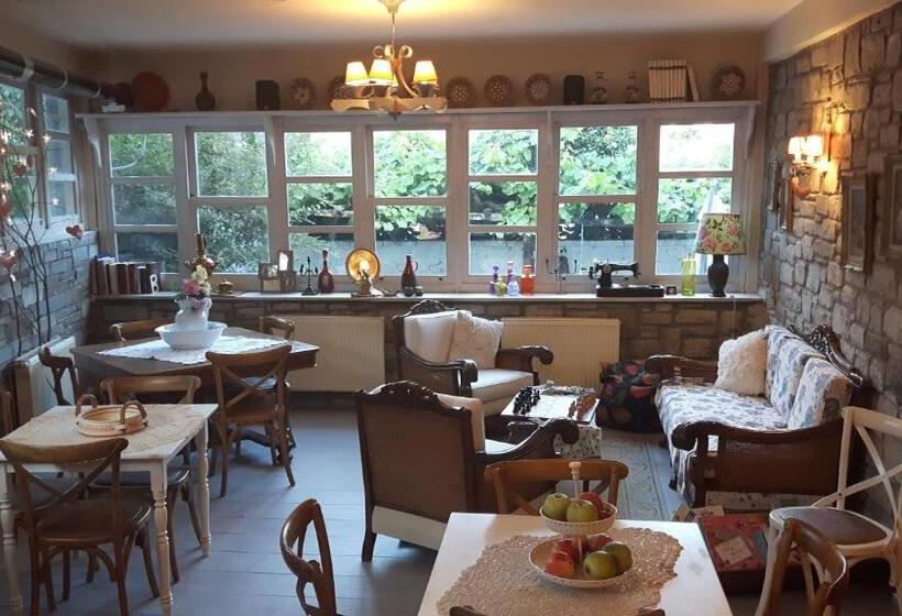 בית מלון כפרי Odos Kentavron