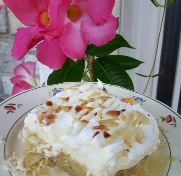 בית מלון כפרי Odos Kentavron