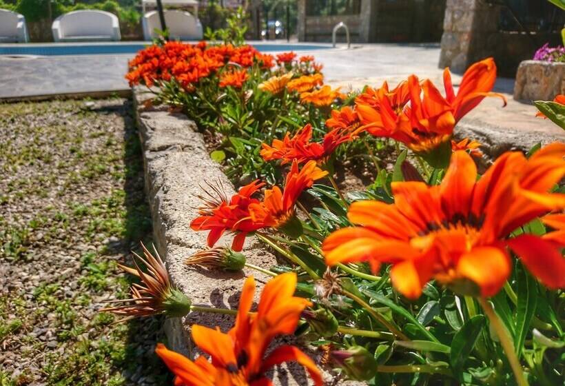 هتل Ata Lagoon Beach