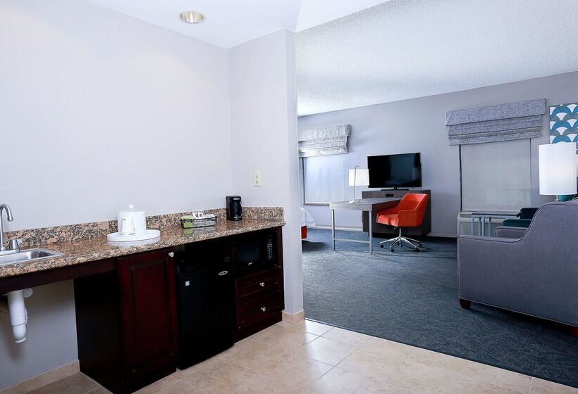 Отель Hampton Inn & Suites Tampawesley Chapel