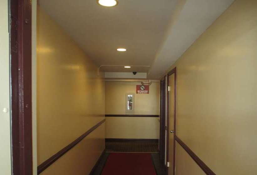 汽车旅馆  Regal Inn Chicago O Hare  Franklin Park