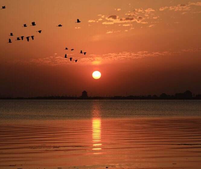 فندق Fairmont Yangcheng Lake