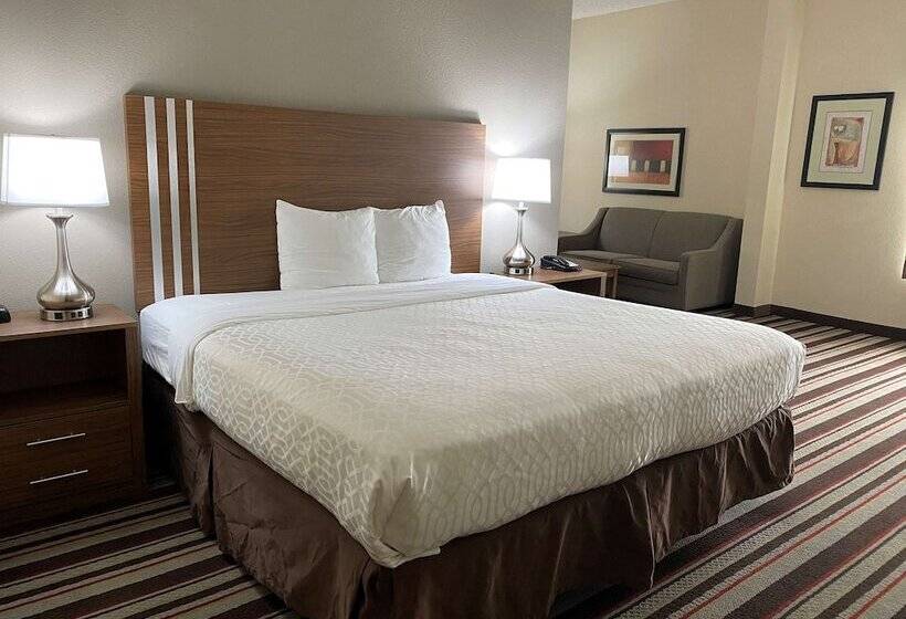 酒店 Best Western Windsor Inn And Suites