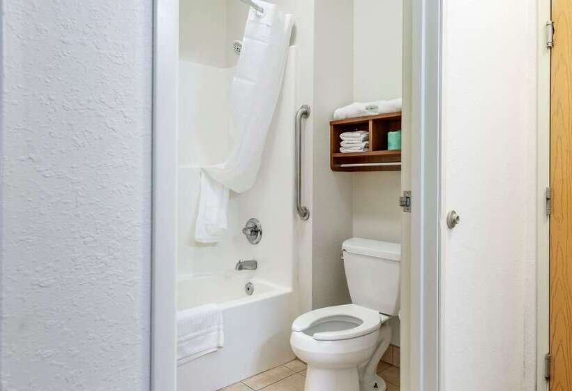هتل Comfort Inn Downtown  University Area