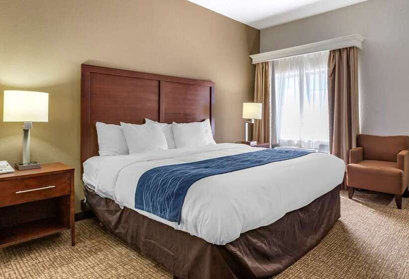 هتل Comfort Inn Downtown  University Area