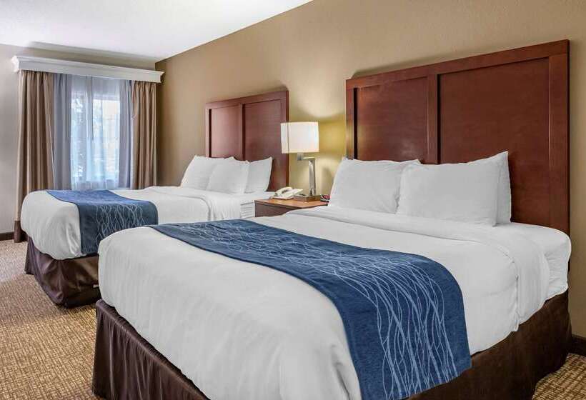 هتل Comfort Inn Downtown  University Area