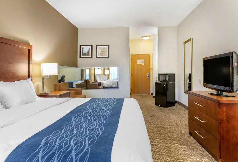 هتل Comfort Inn Downtown  University Area