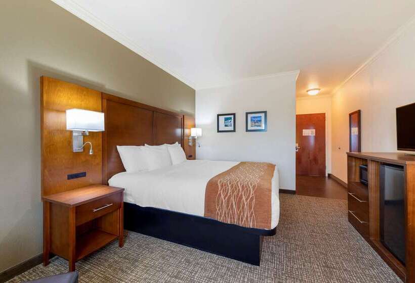 هتل Comfort Inn Near University