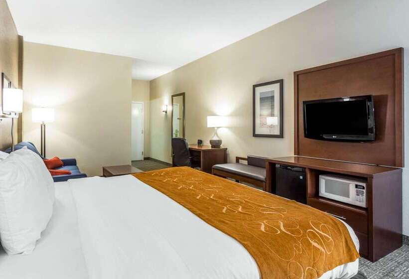 فندق Comfort Suites At The University