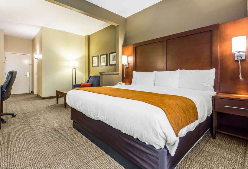 فندق Comfort Suites At The University