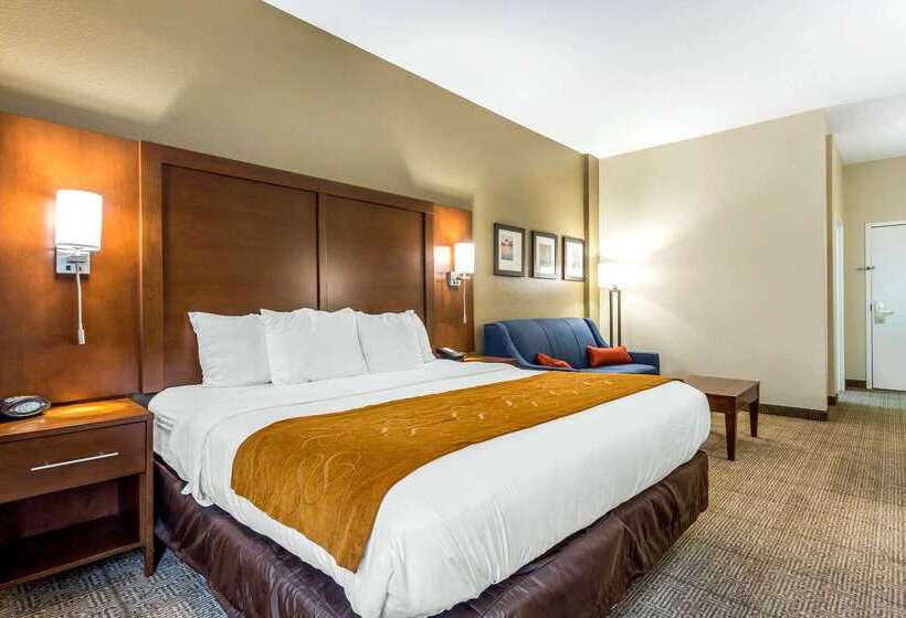 فندق Comfort Suites At The University
