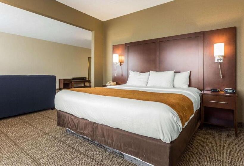 فندق Comfort Suites At The University