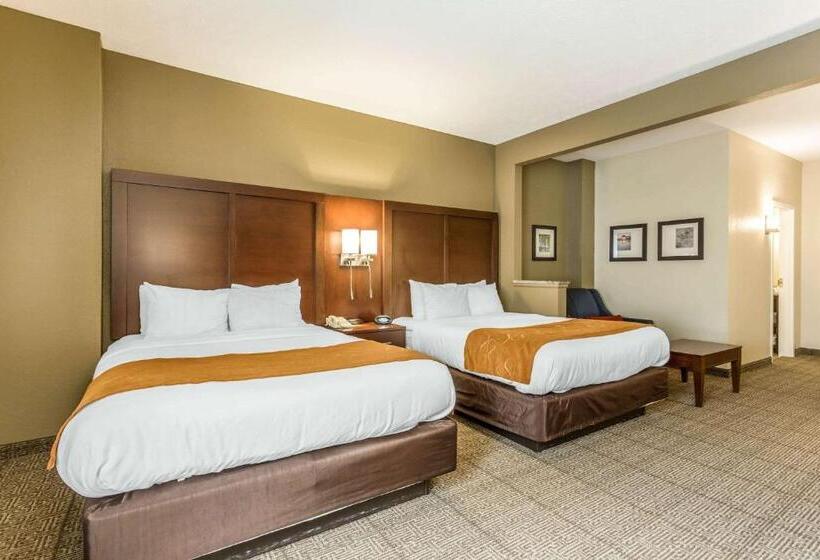 فندق Comfort Suites At The University