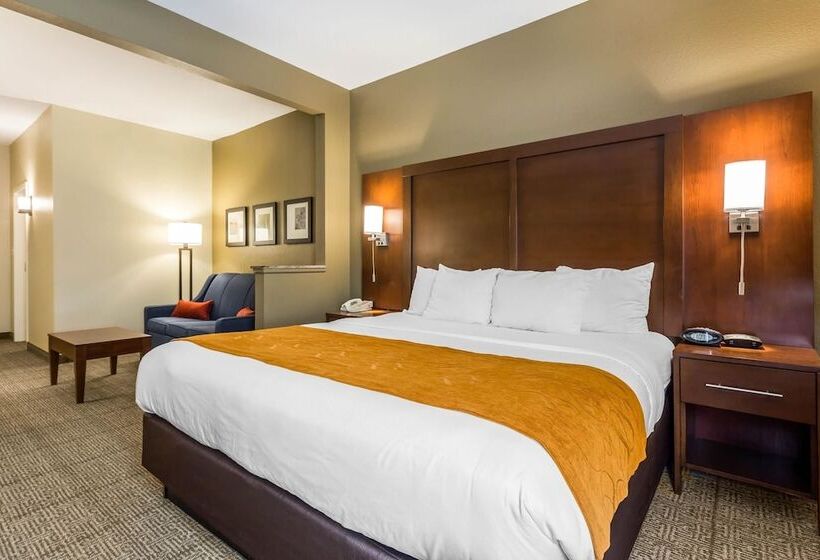 فندق Comfort Suites At The University