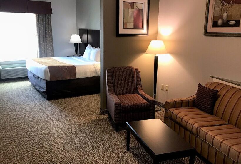 Отель Comfort Suites