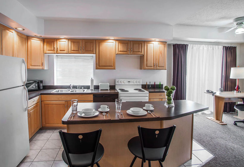 ホテル Comfort Suites Michigan Avenue - Loop