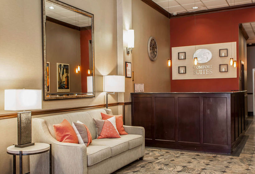 Hotell Comfort Suites Michigan Avenue - Loop