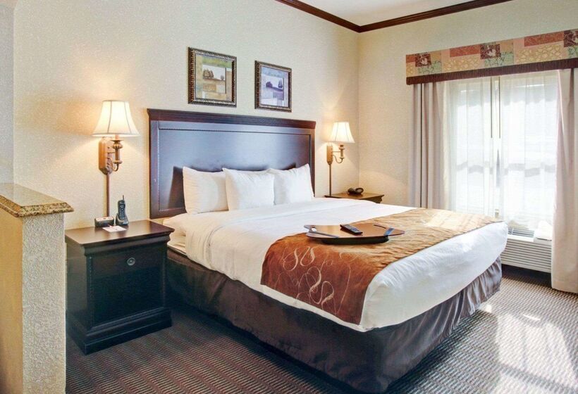 هتل Comfort Suites University Drive