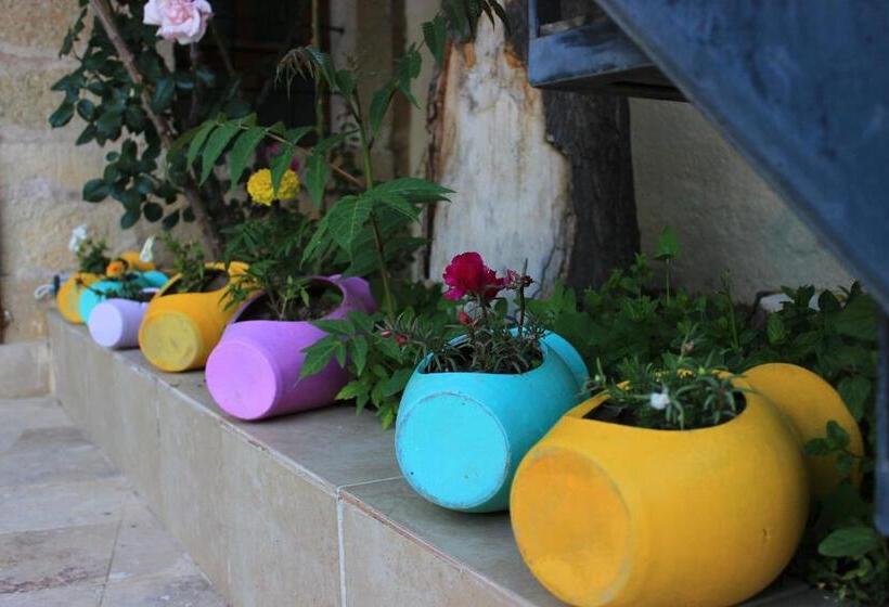هتل Elif Stone House