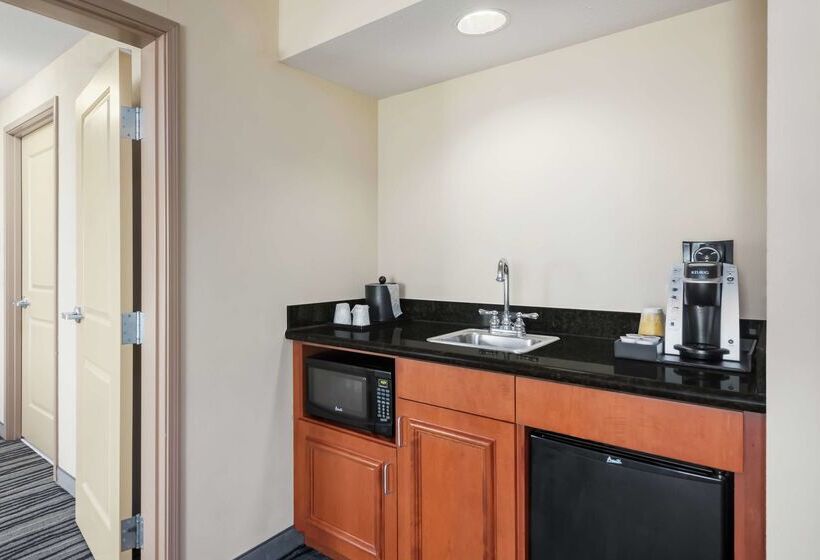 酒店 Hilton Garden Inn St. Louis Shiloh/o Fallon Il