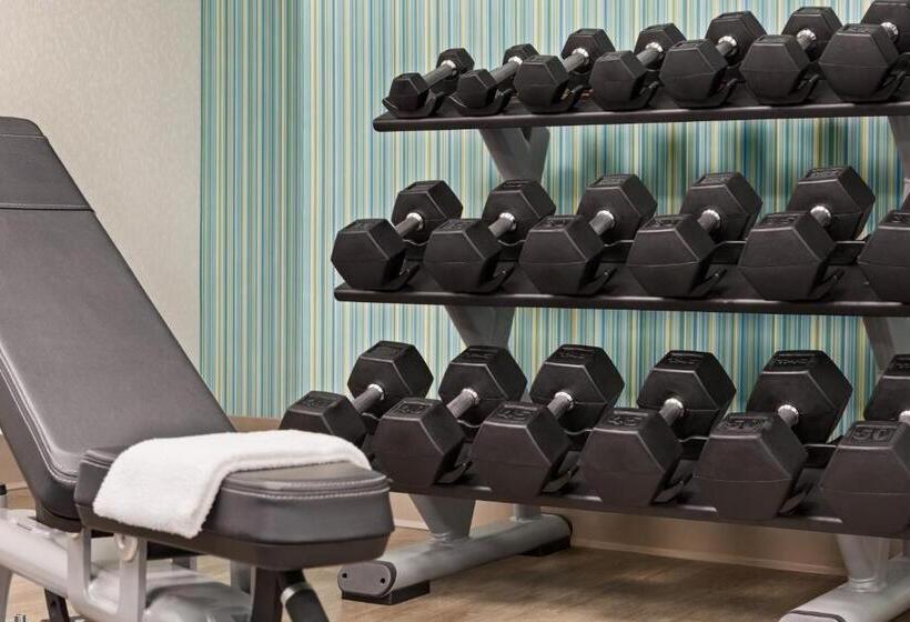 בית מלון כפרי Holiday Inn Express & Suites Greenville Downtown, An Ihg