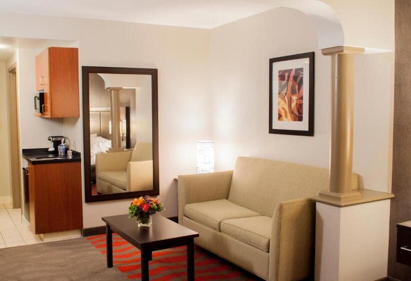 Holiday Inn Express Hotel & Suites Pittsburgh South Side, An Ihg