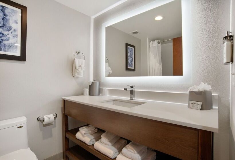 هتل Holiday Inn Express & Suites   Mobile   I 65, An Ihg