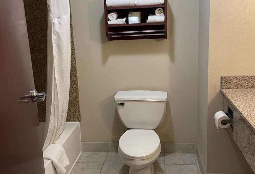 هتل Holiday Inn Express & Suites Niagara Falls, An Ihg