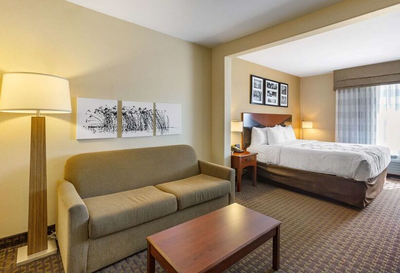 בית מלון כפרי Sleep Inn & Suites Idaho Falls Gateway To Yellowstone