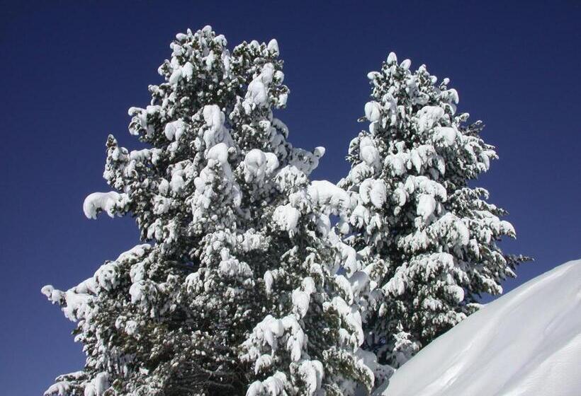 Seiblishof Superior Hotel Ischgl